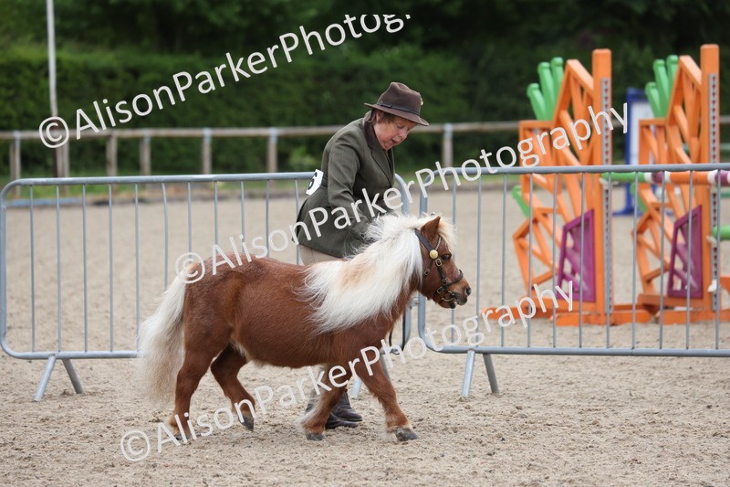 20250524-0017 - Class 1 - Best Condition