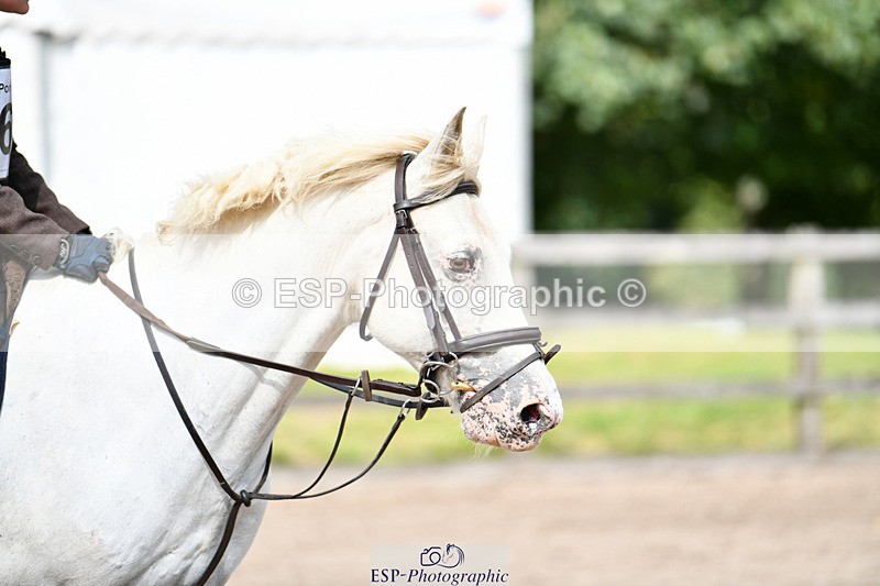 240825X-153242-35946 - 80cm SJ 14.00 to 15.55