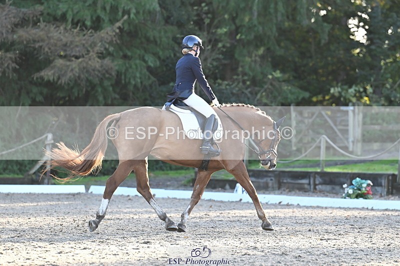 251023A-162558-06073 - B-170-Mollie.Summerland