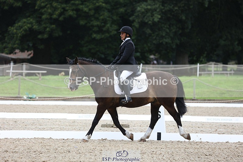 230812-102213-03203 - Cls 5 Novice Bronze Start to 10.55 break