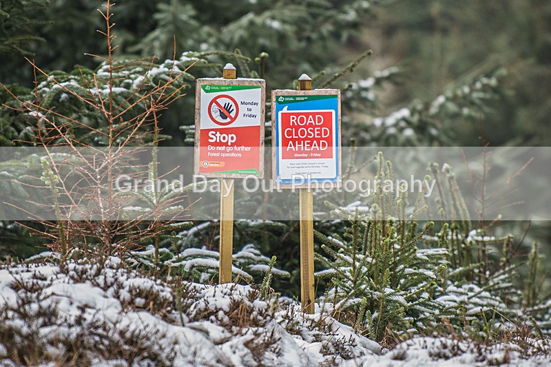 Glentress-1777 - High Terrain Events Glentress 10K 21K & 42K Trail Races Sunday 16th February 2025
