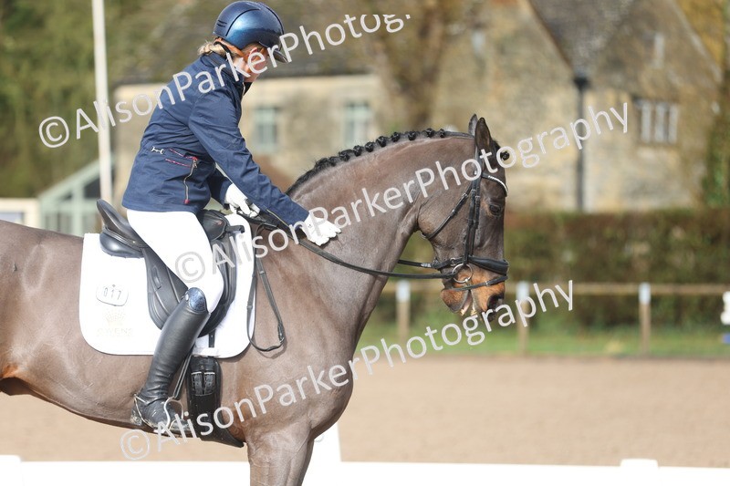 20260215-0342 - Class 5 - Elementary 5