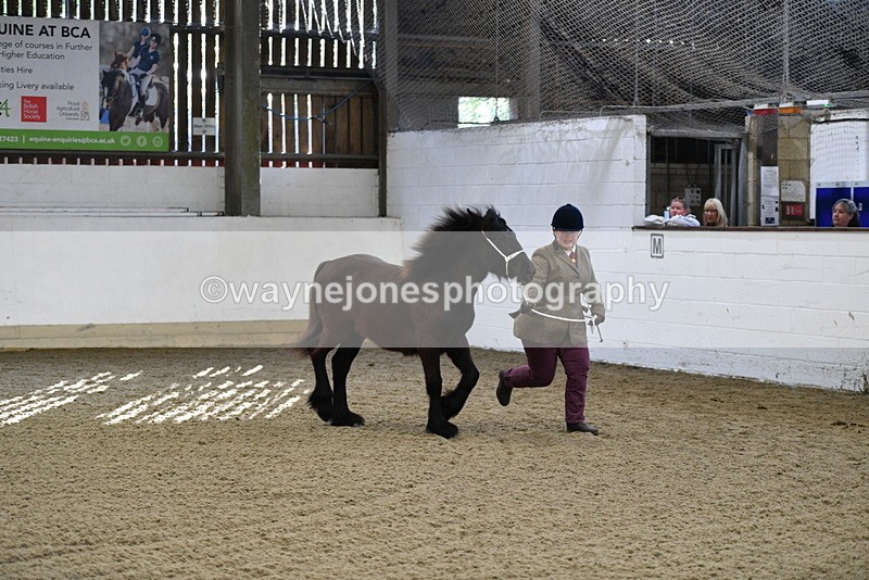 WJ5_3519 - Class 1 Youngstock