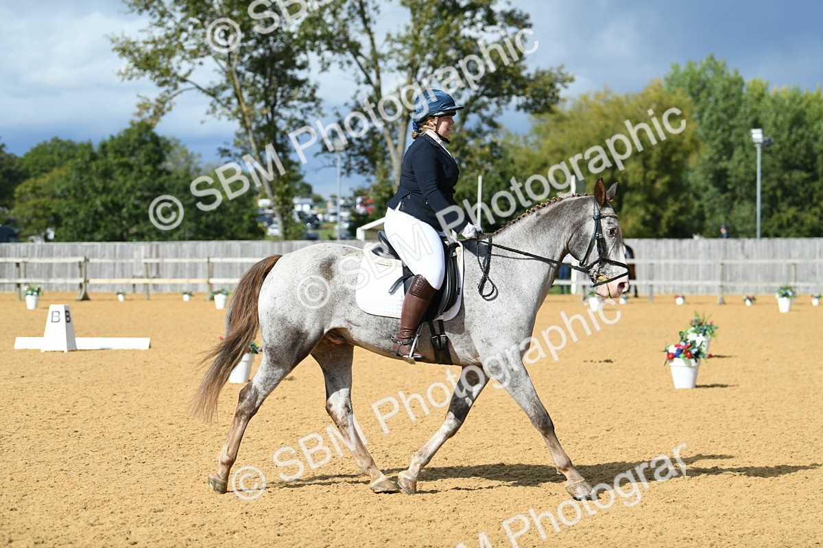 SBM_09782 - D15 Small Tour Championship Novice 24