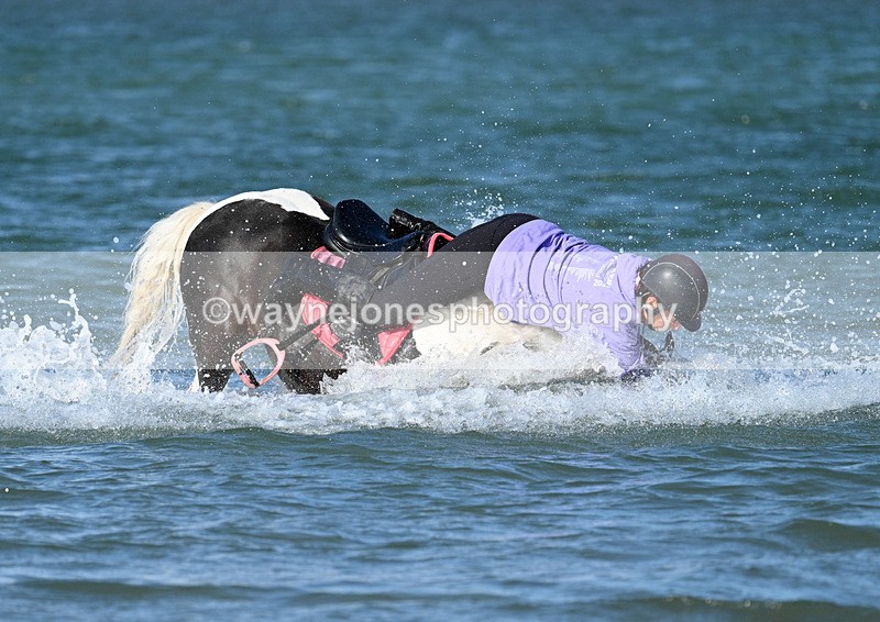 WJ7_3520 - Kellie & Churchill ... do Hayling Island 25-08-24