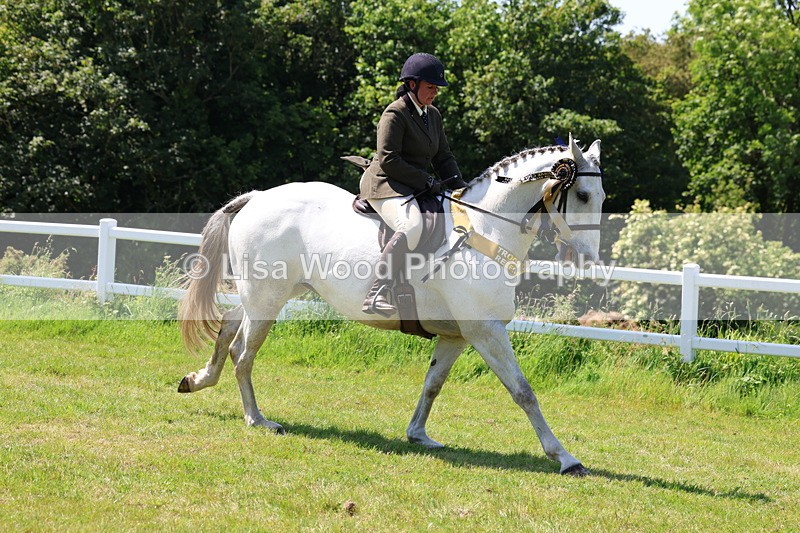 3E7A8151 - Working Hunter Championship
