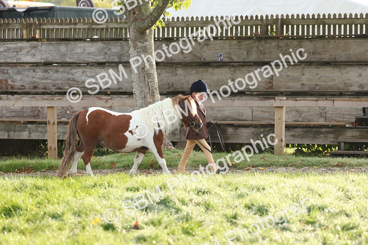SBM_54740 - S39 - Starters In Hand Showing