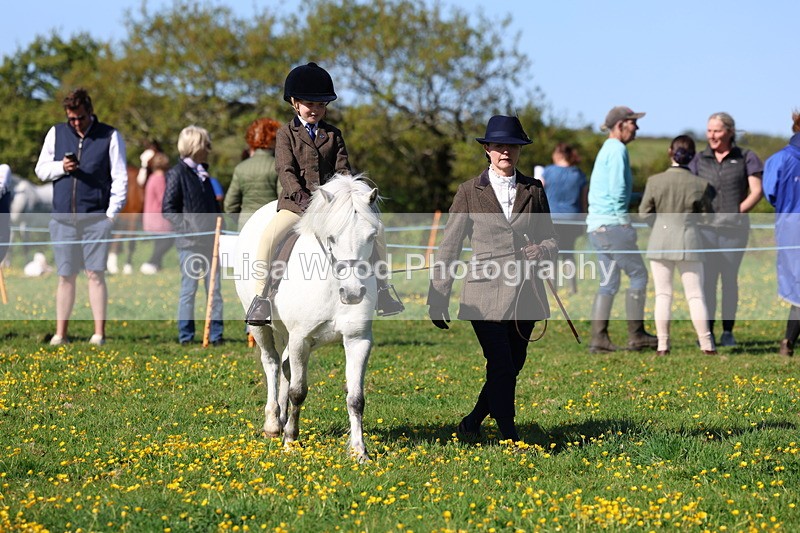 3E7A8831 - Class 2: Lead rein