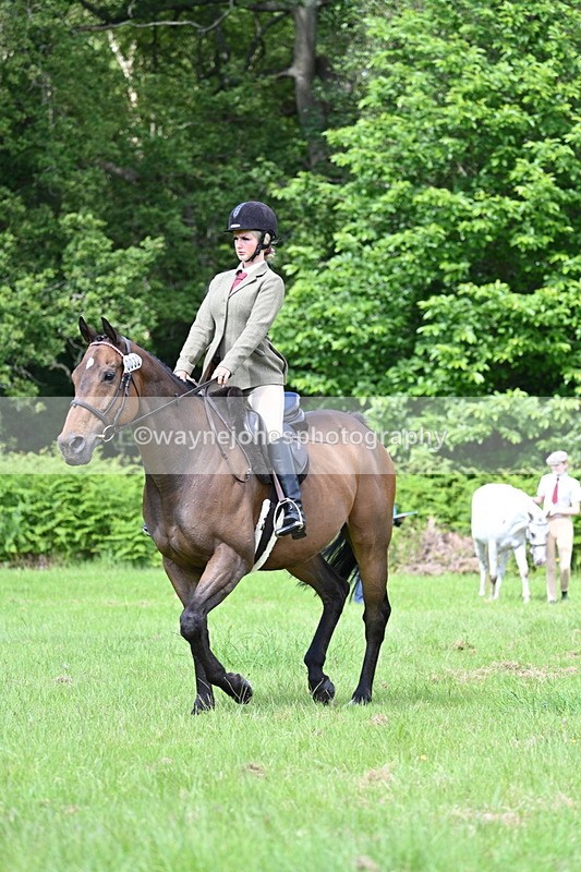 WJ7_1276 - Class 11 Condition & Turnout