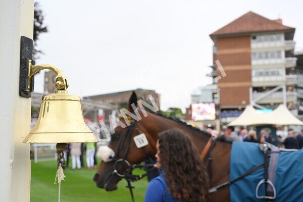 yr22072022r3-23 - Race 3 6.20pm Tomahawk Stakes