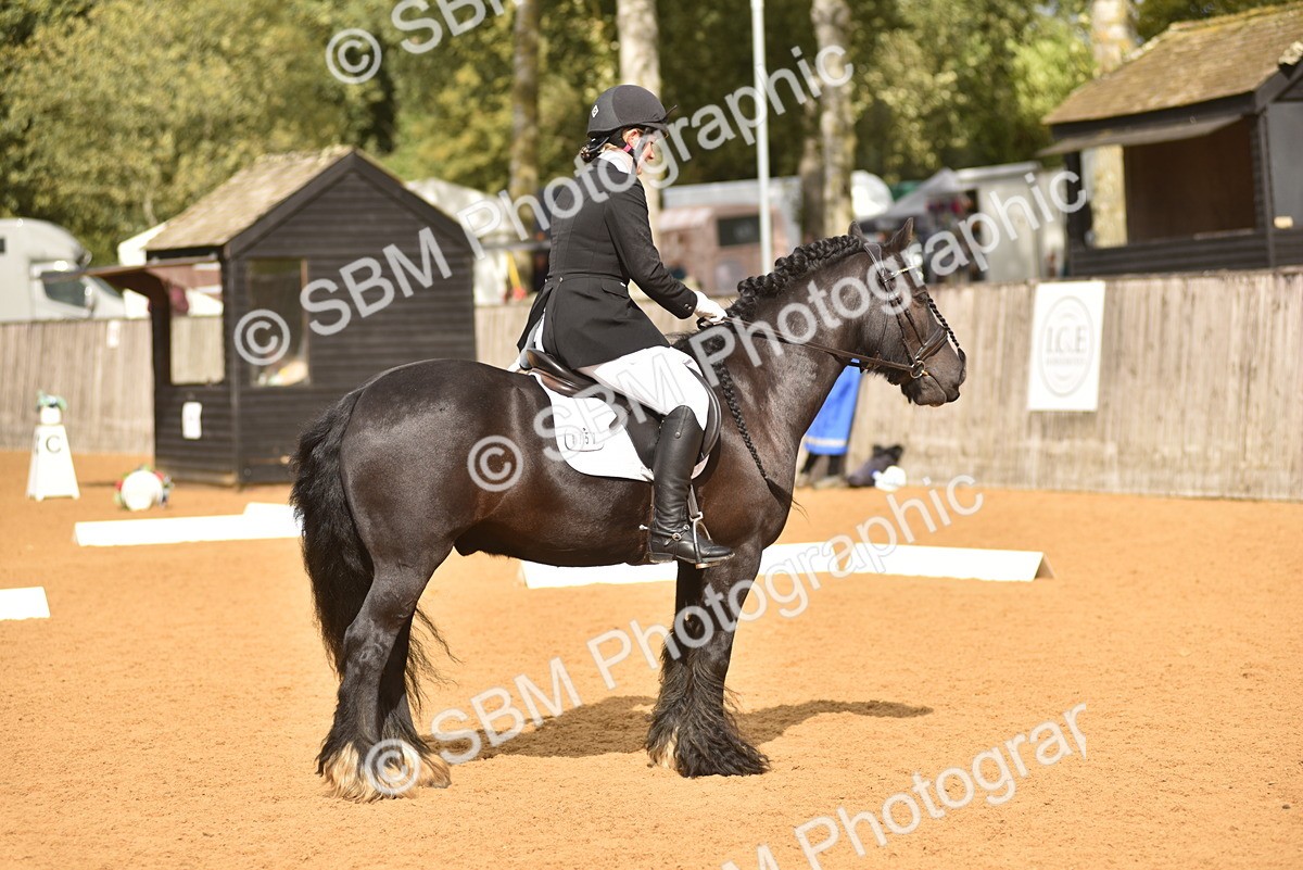 SBM_10139 - D15 - Small Tour Championship Novice 1