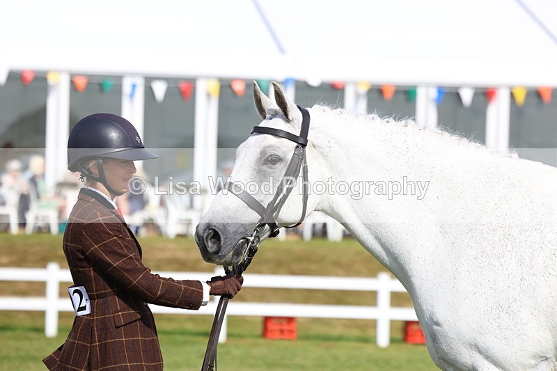 3E7A9124 - Class 3: Rising Star S/L Hunter