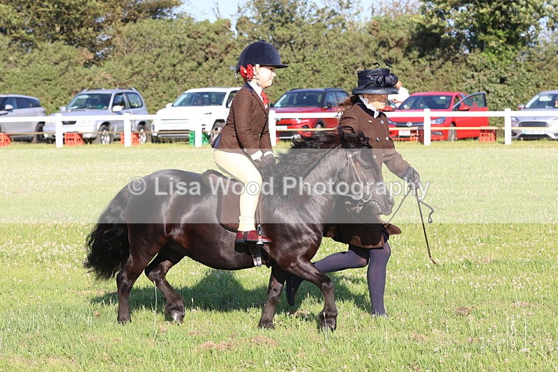 JPP_0841 - Class 16: Cornish Combination Leading Rein