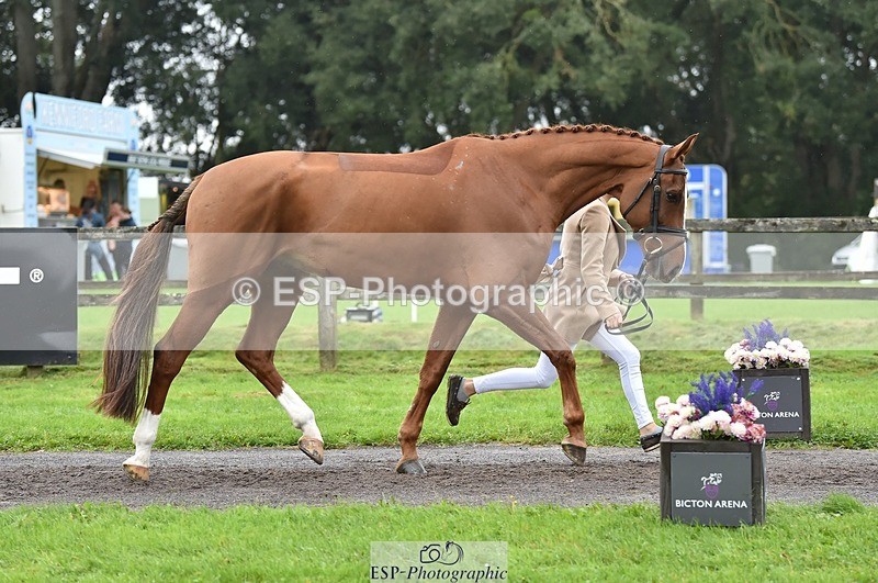 231018-123912-00429 - 051-VITAL.DK.Z-Isny.O'Donnell-TrotUp