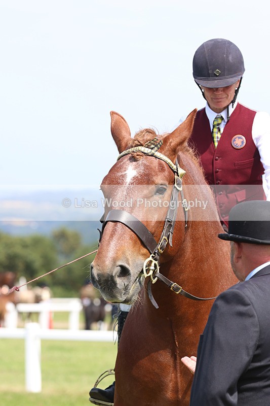 JPP_3492 - Class 15: Heavy Horse Ridden