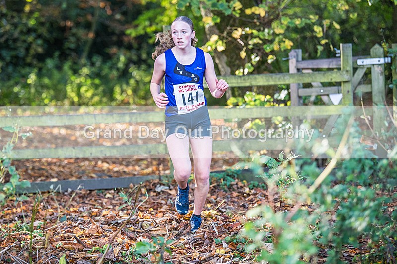 Cumbria XC-291 - Cumbria XC League Workington Saturday 26th October 2024