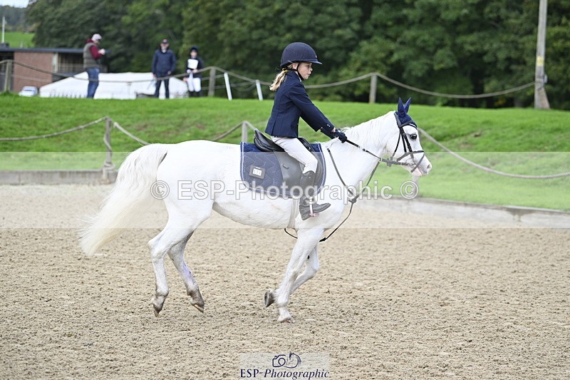 251005A-091118-02977 - Cls 02 GR 50cm