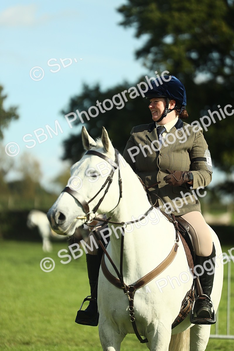 SBM_49817 - S32 - Novice & Newcomers Working Hunter
