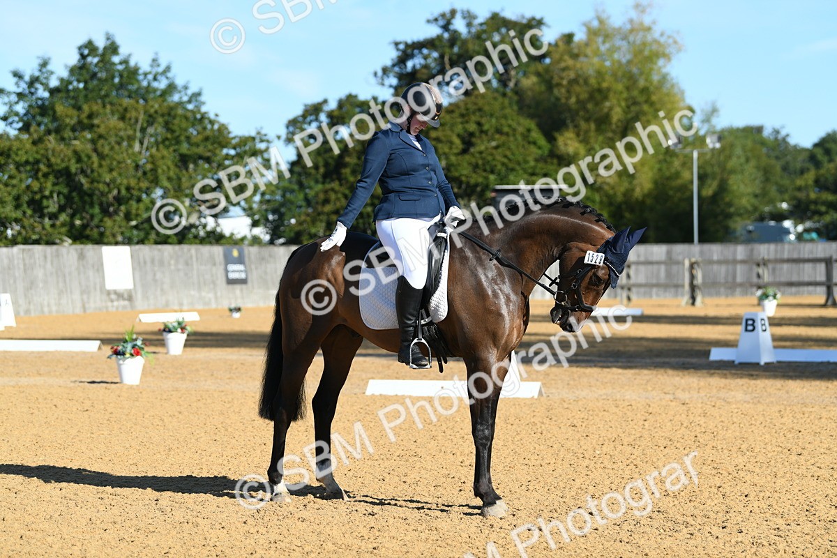 SBM_16174 - D4 - Small Tour Championship - Intro B
