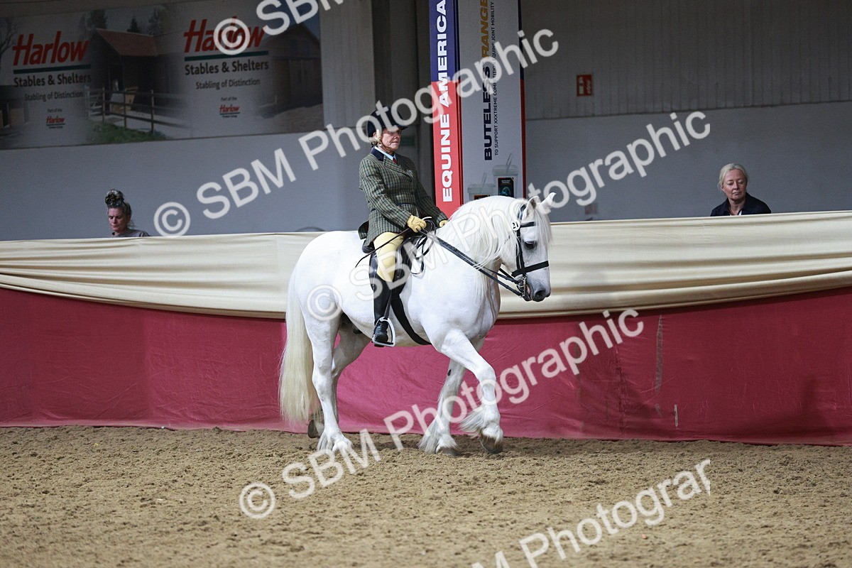 SBM_07994 - Class 11R - Regional Ridden Veteran