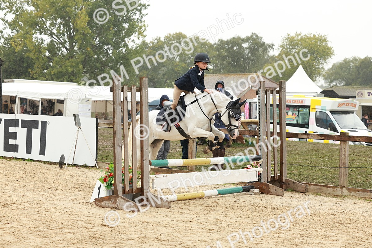 SBM_71256 - J14 - Junior Pony 65cm Championship