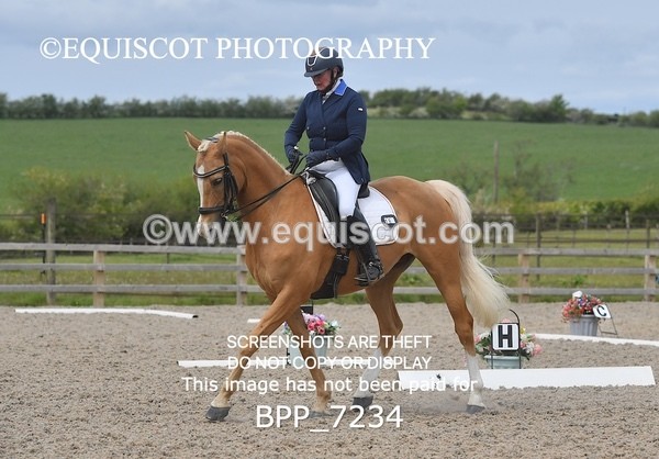 BPP_7234 - 3 D HARRISON