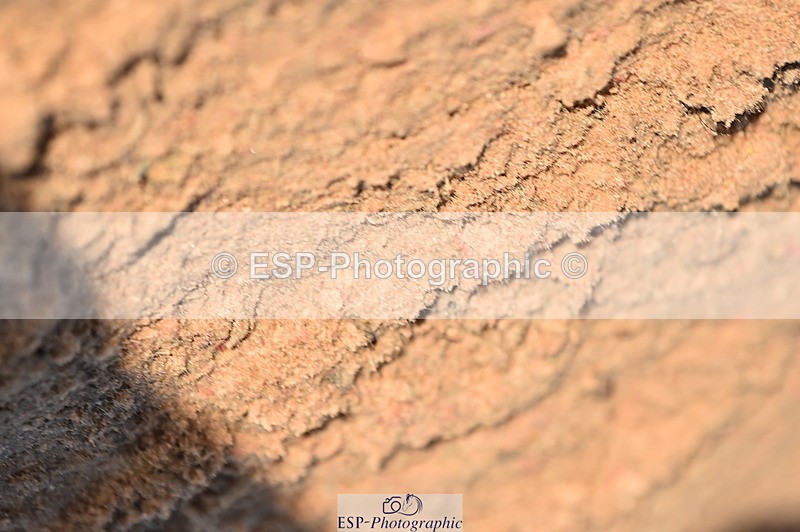 231105A-132436-01122 - 90cm