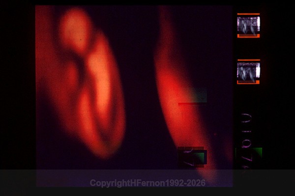 ONLINE 1995 - ONLINE DOMAIN 1992-1996