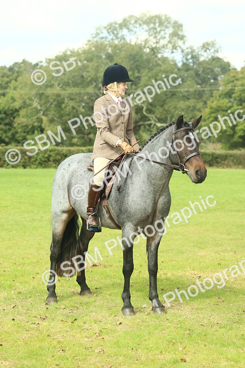 SBM_62680 - S63 - Other Coloured Horse Ridden