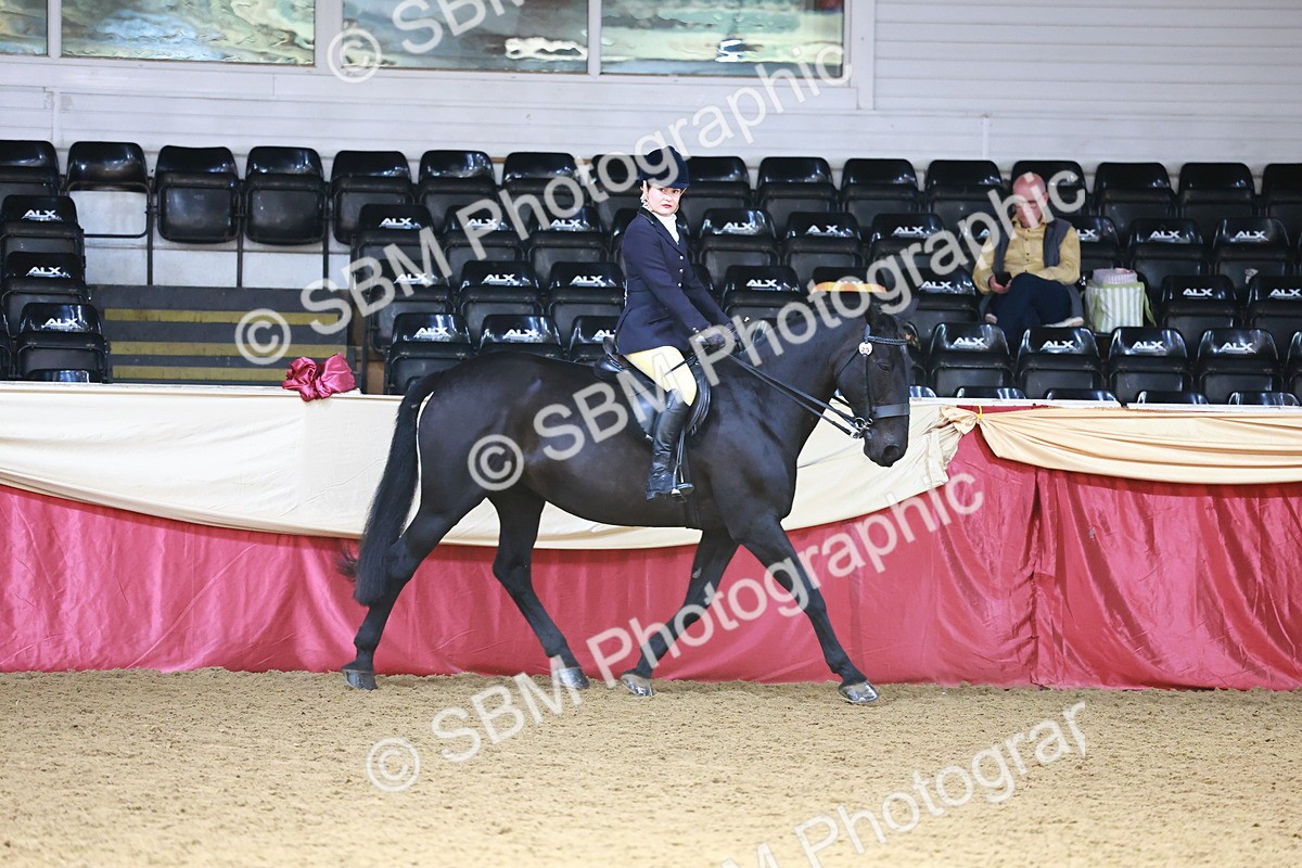 SBM_23169 - Class 904 - Supreme Final - Ridden Diamond