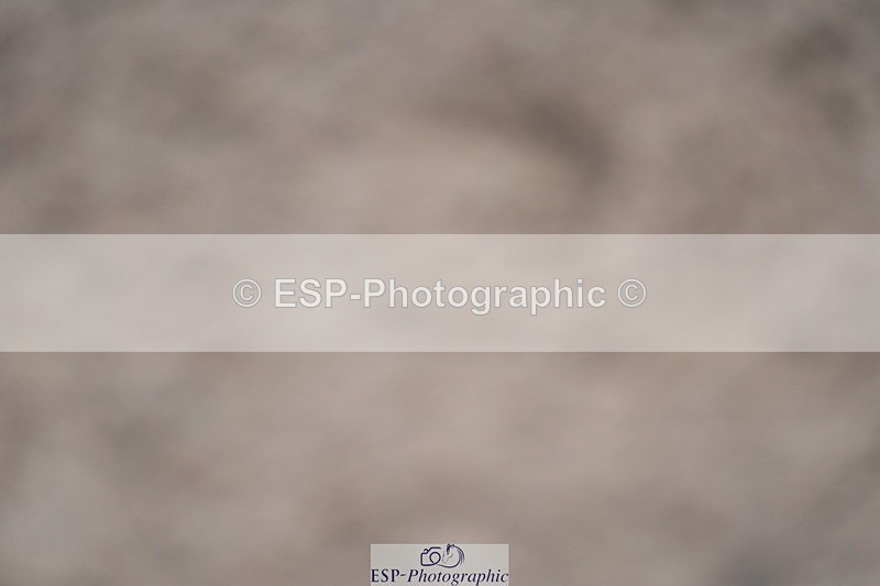 231017A-114518-06750 - Cls 26 Chard Equ Grand Prix