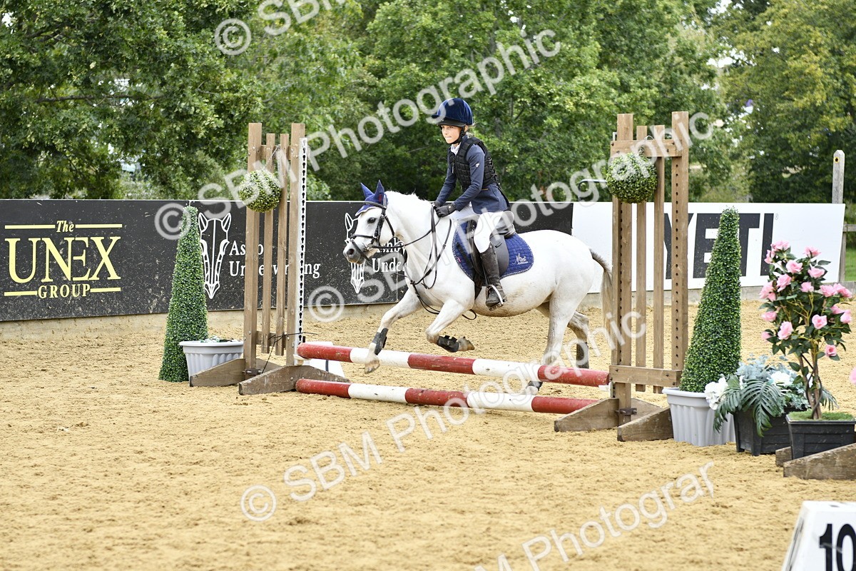 SBM_65500 - J2a mini Tour Junior Pony 30cm Championship