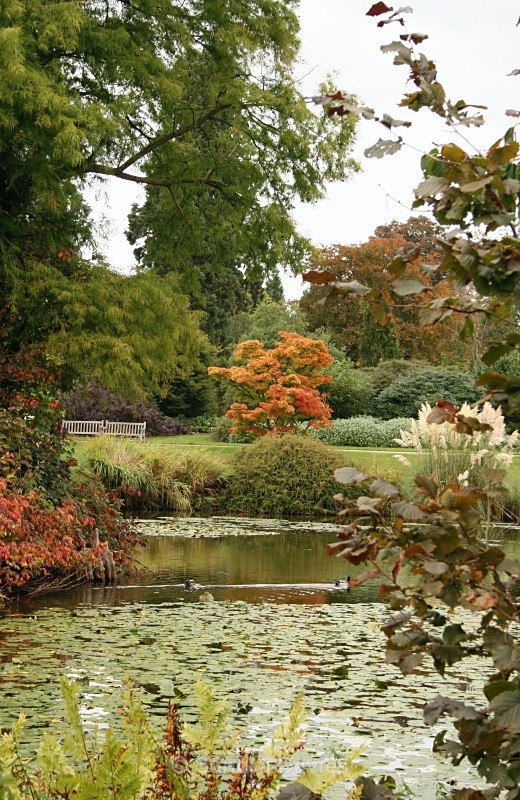 Wakehurst Place, West Sussex - Landscapes