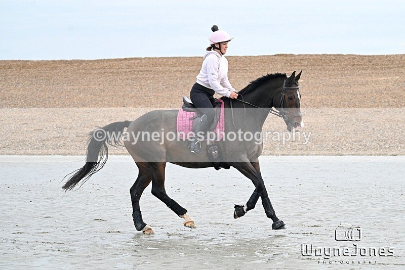 WJ7_9322 - Hayling Island Beach Shoot 22-09-24