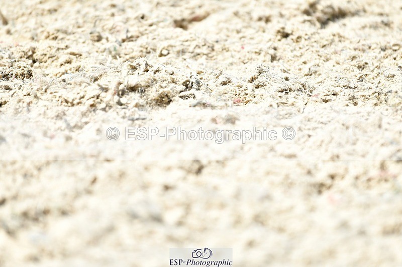 230623-131826-02358 - Cls 4 Novice 37Q 12.45 to End