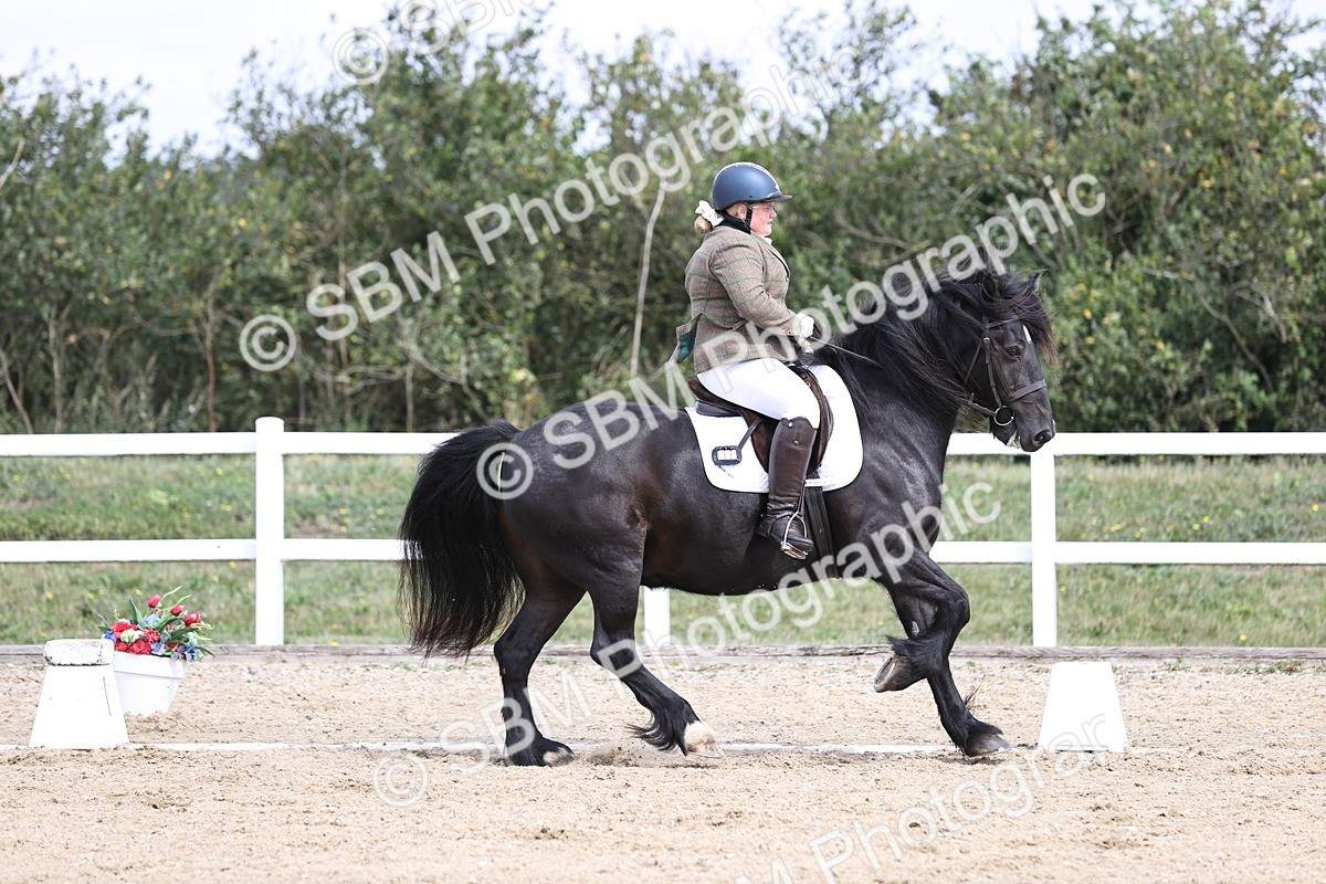 SBM_016749 - Class 14 Novice 23 - 11.53-12.56