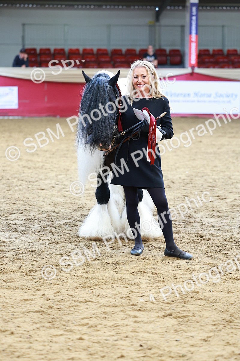 SBM_18719 - Class 903 - Sup Final - IH Pre Vet