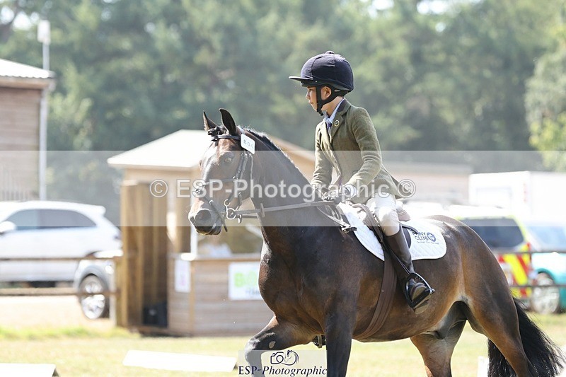 250823A-123416-29834 - Arena C