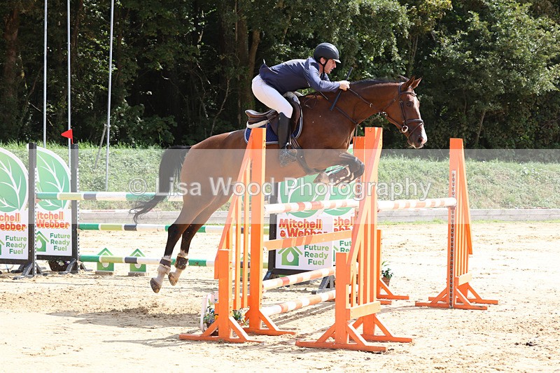 3E7A1964 - Class 9: Senior Foxhunter/1.20 open