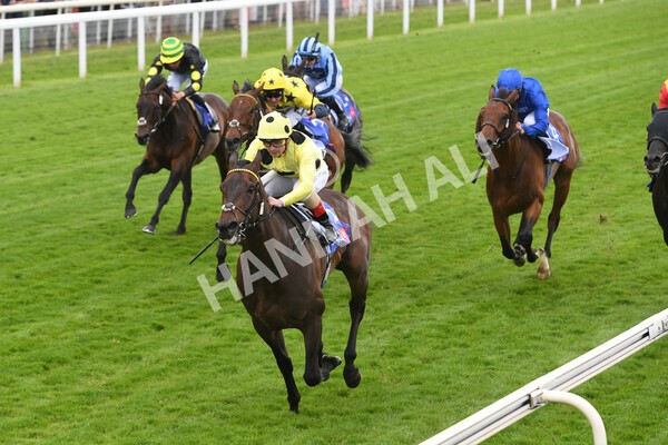 yr11062022r4-14 - Race 4 3.05pm Sky Bet Grand Cup