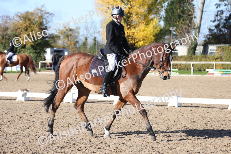 20251102-0900 - Class 5 - Elementary 5