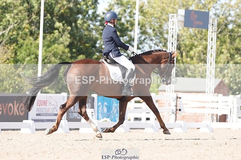 250906-150938-04674 - 108-Susan.JonesWoodlander.Summer.Breeze