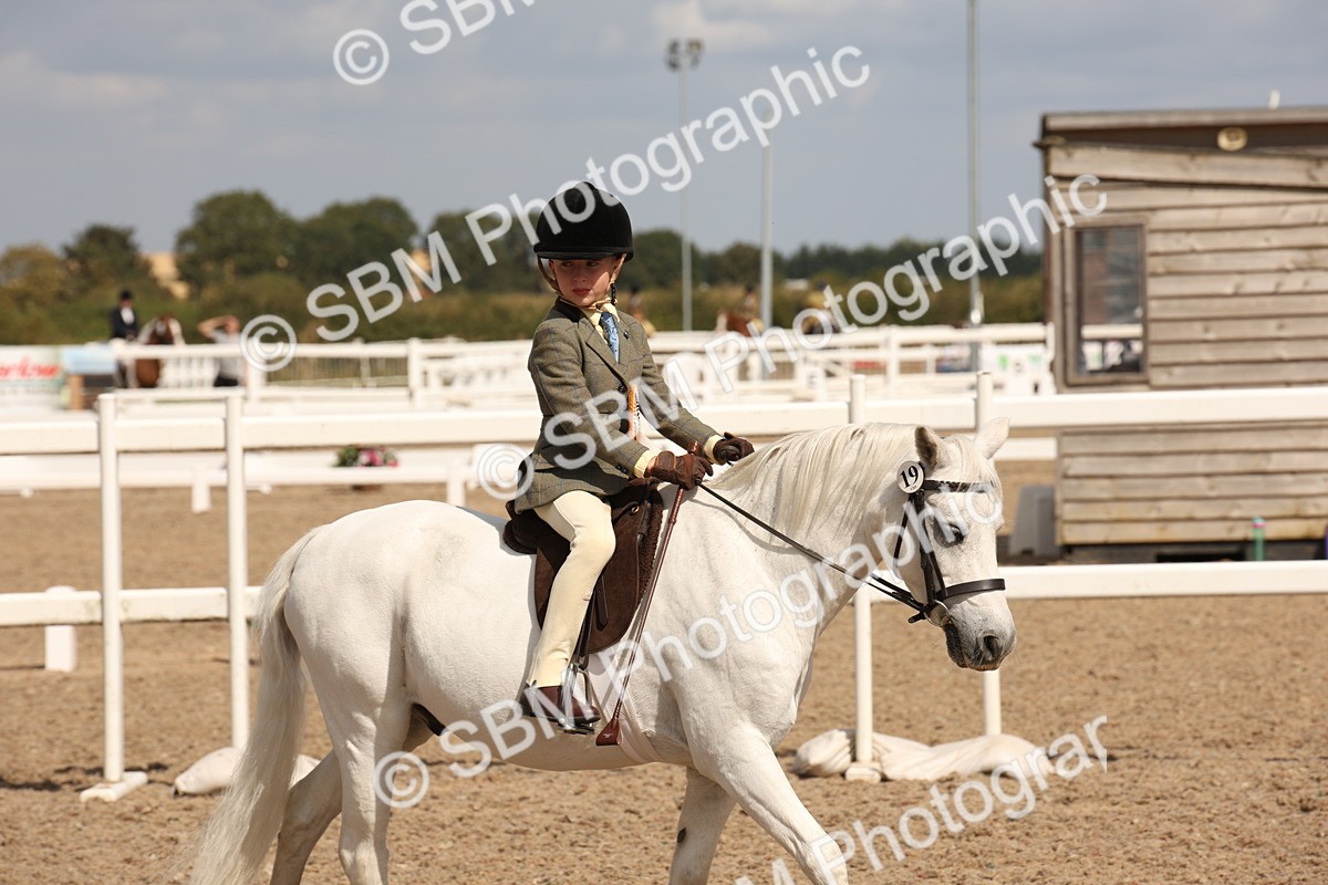 SBM_03802 - Class 19 Judge's Favourite