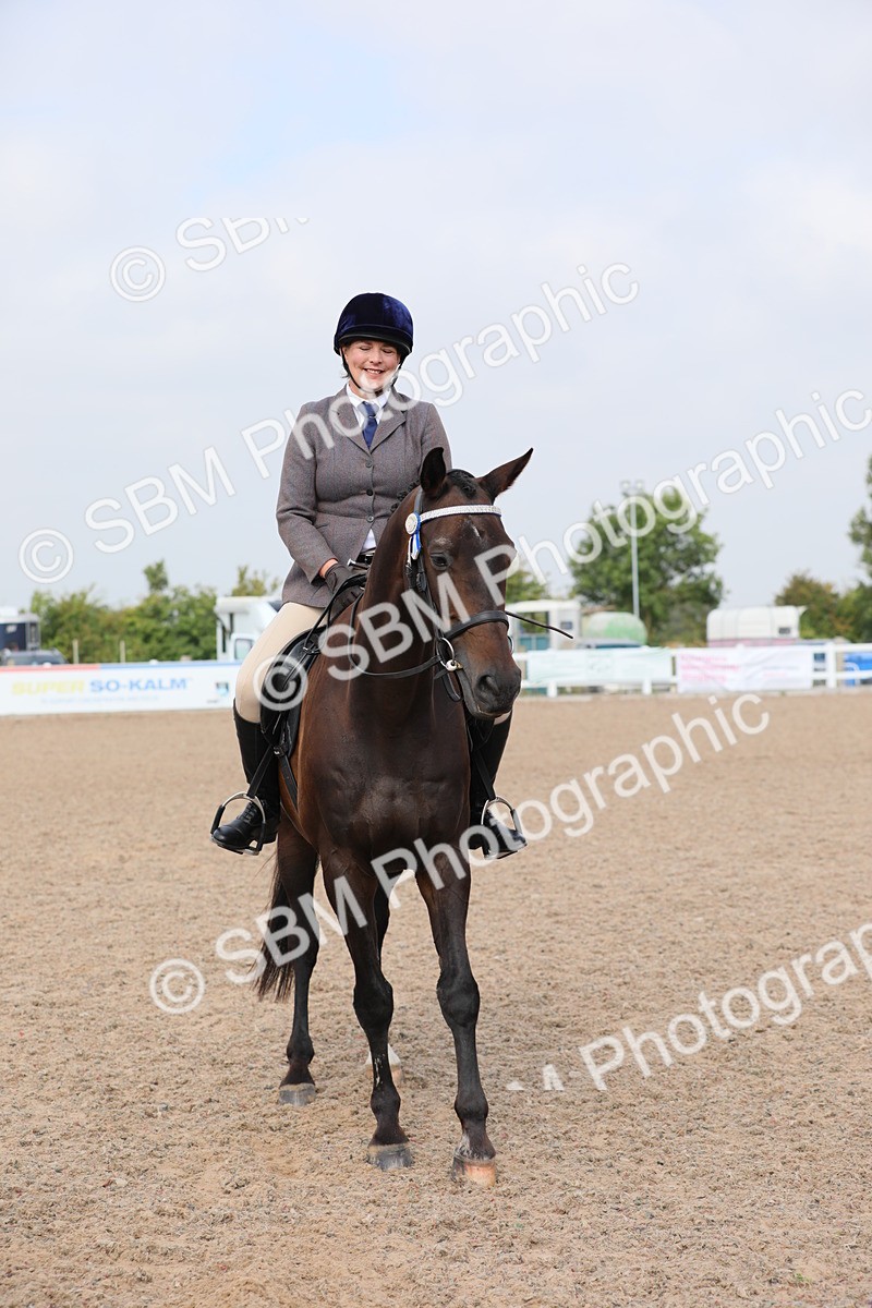 SBM_11500 - Class 305 Ridden Foreign Breeds- Pure Bred