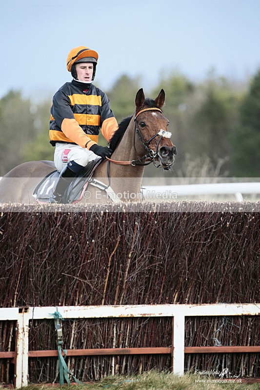 PtP 020122 53 - Larkhill Racing Club Point-to-Point 02/01/2022
