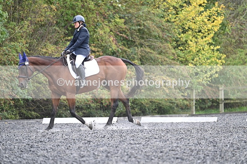 WJ7_6456 - Time 14:49 to 15:14