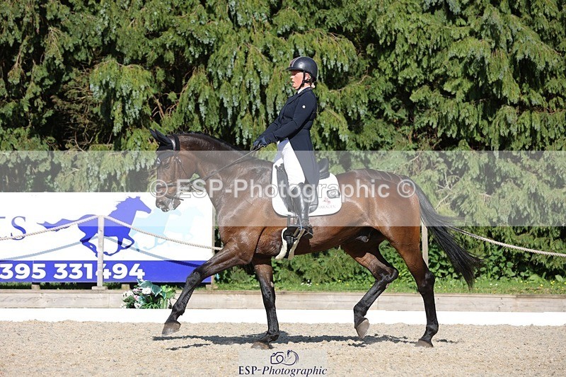 230526-172449-07970 - 178-RIDIRE_DORCHA-Lucy_Stimson-WEDTrotUp+DR