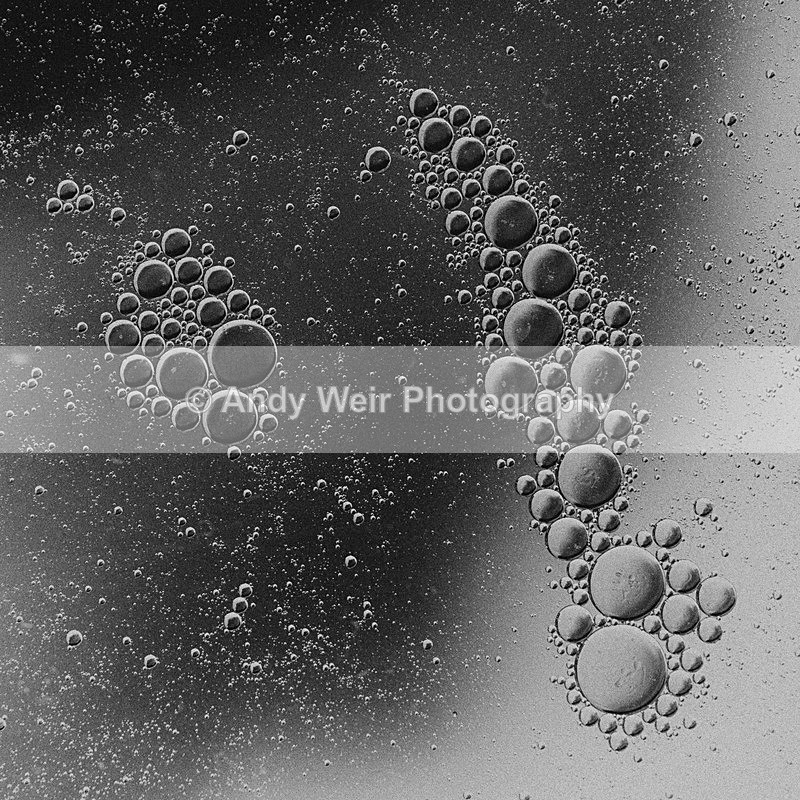 20140204-3K8A8685-2796 - Oil & Water