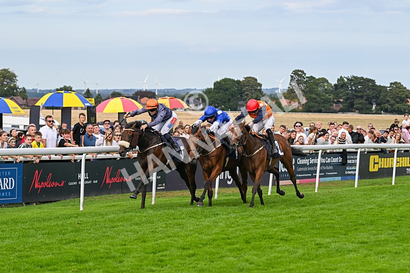 300826-Race 6-Court Legend-1548 - Race 6 4.30pm Return Of The Legend Martin Spencer Nursery Handicap