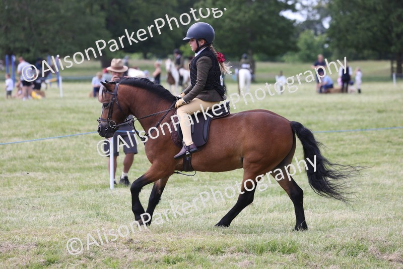 20260614-1831 - Class 21 - Novice Working Hunter Pony